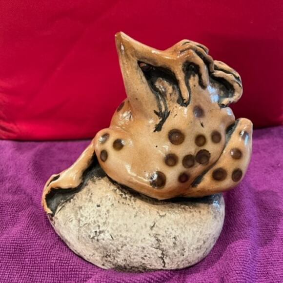 Crazy Day! Frog on a Rock! - Picture 4 of 9